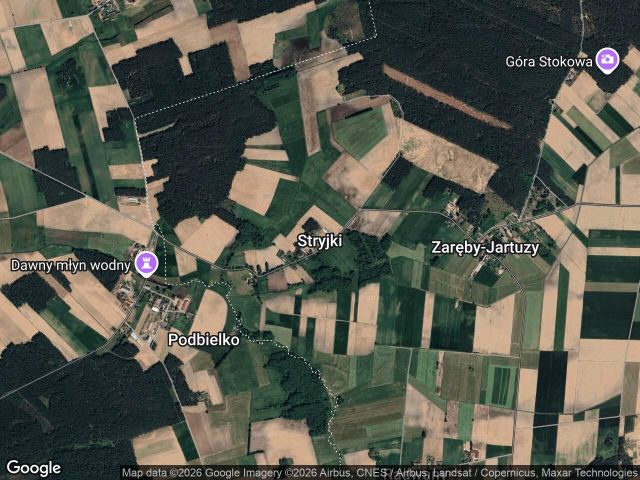 Działka leśna Stryjki. Zdjęcie 1