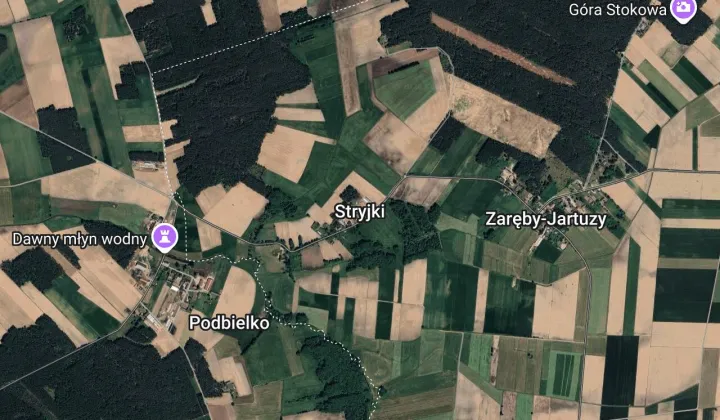 Działka leśna Stryjki