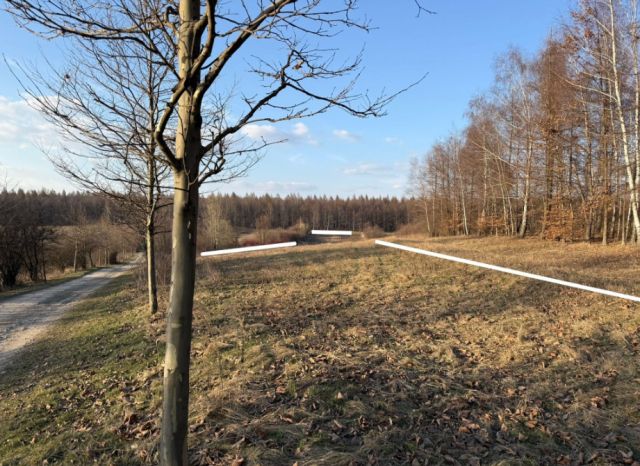 Działka rolna Dąbrowa Górnicza Łosień, ul. Zagrabie. Zdjęcie 1