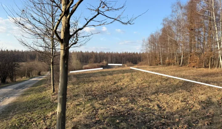 Działka rolna Dąbrowa Górnicza Łosień, ul. Zagrabie