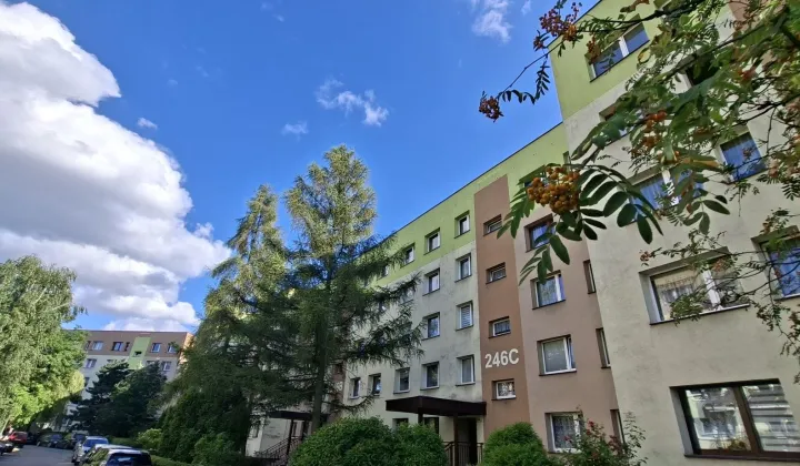 Mieszkanie 3-pokojowe Bytom Stroszek, ul. Strzelców Bytomskich