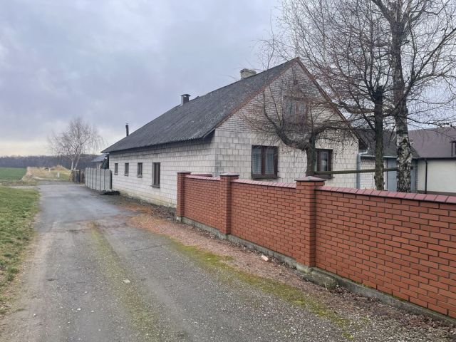 Hala/magazyn Michałowice. Zdjęcie 1