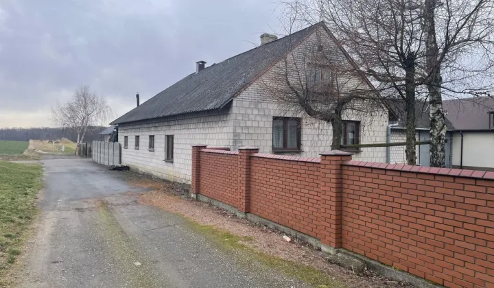 Hala/magazyn Michałowice