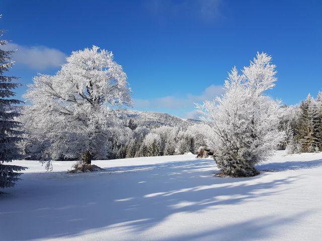 Działka inna Łopuszna. Zdjęcie 1
