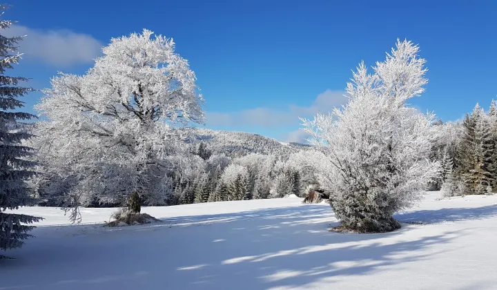 Działka inna Łopuszna