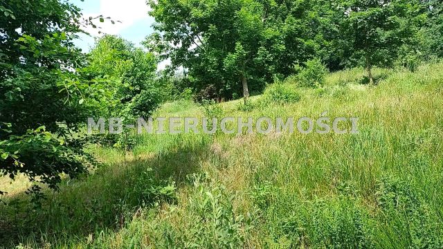 Działka budowlana Nowe Włóki. Zdjęcie 3