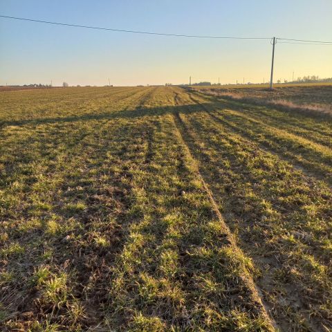 Działka rolna Kolonia Skarszewek. Zdjęcie 1