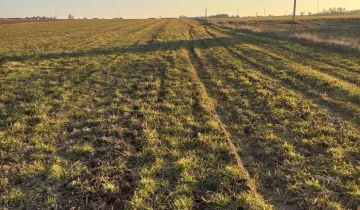 Działka na sprzedaż bez pośredników 
 
 Tłokinia Wielka - Widok 5