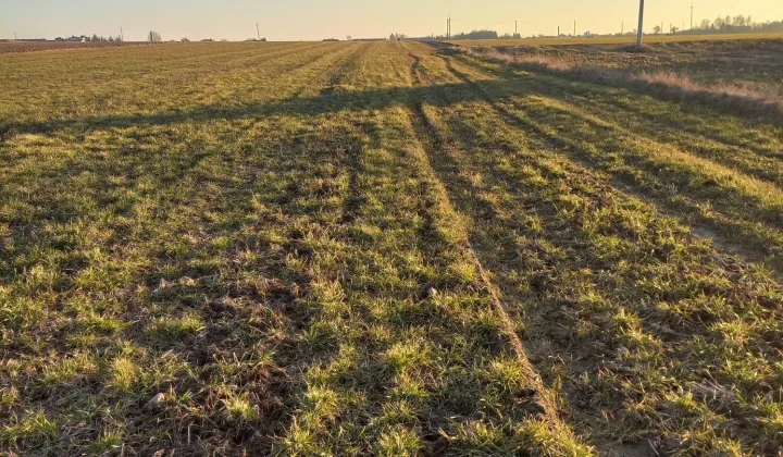 Działka rolna Kolonia Skarszewek
