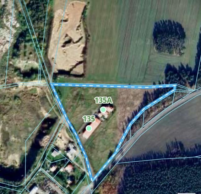Lokal Brzeźnik. Zdjęcie 9
