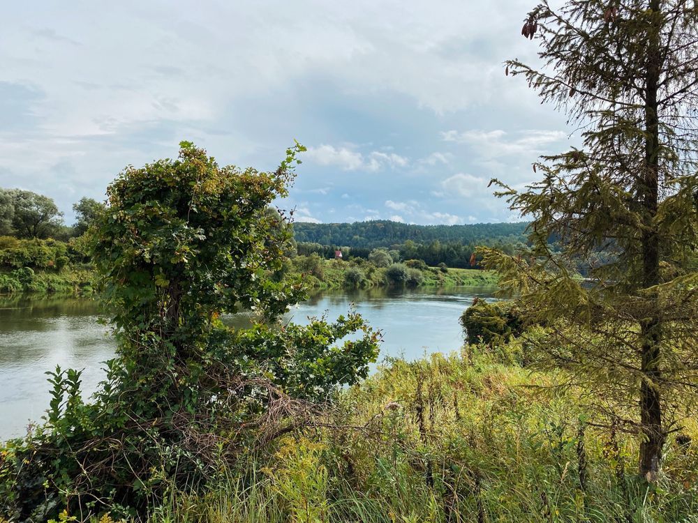 Działka rekreacyjna Mielnów. Zdjęcie 7