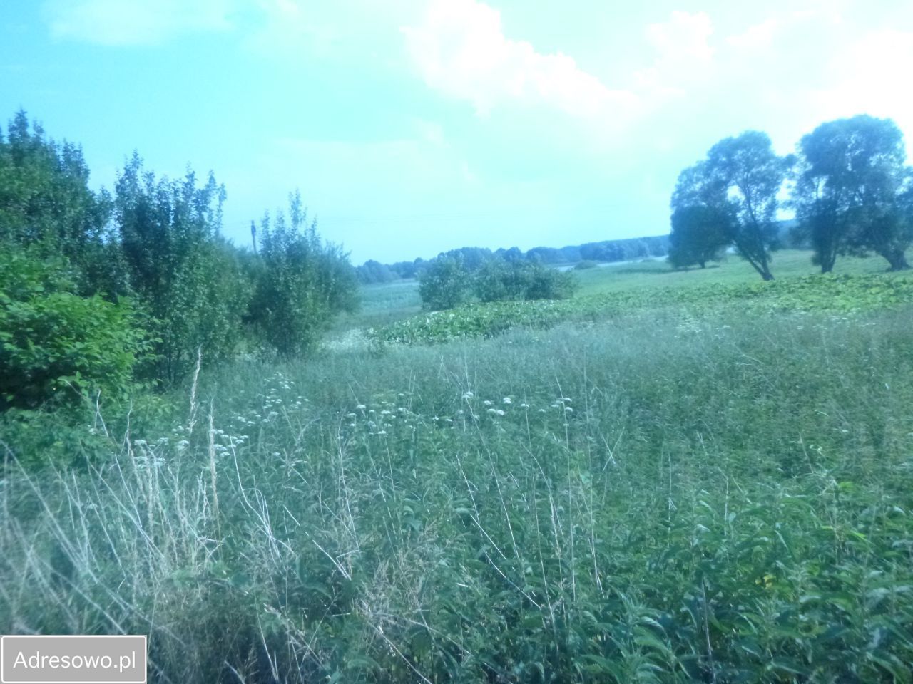 Działka budowlana Bobrowo. Zdjęcie 4