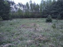 Działka rolna Jarczewo. Zdjęcie 3