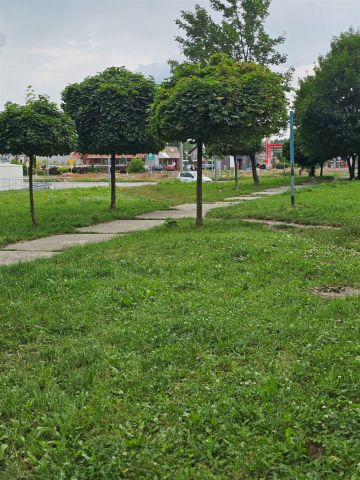 Mieszkanie 2-pokojowe Olkusz Centrum, ul. Marcina Bylicy. Zdjęcie 22