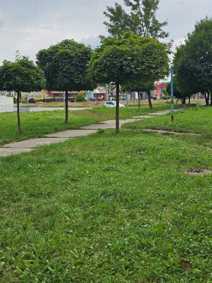 Mieszkanie 2-pokojowe Olkusz Centrum, ul. Marcina Bylicy. Zdjęcie 22