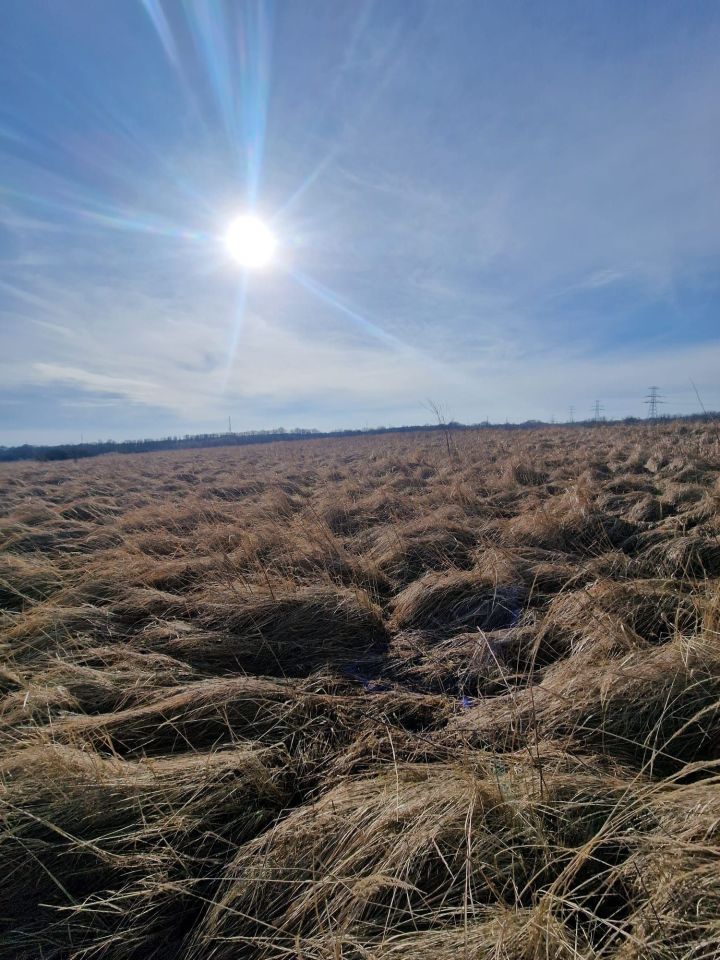 Działka rolno-budowlana Szczecin Skolwin, ul. Krajobrazowa. Zdjęcie 3