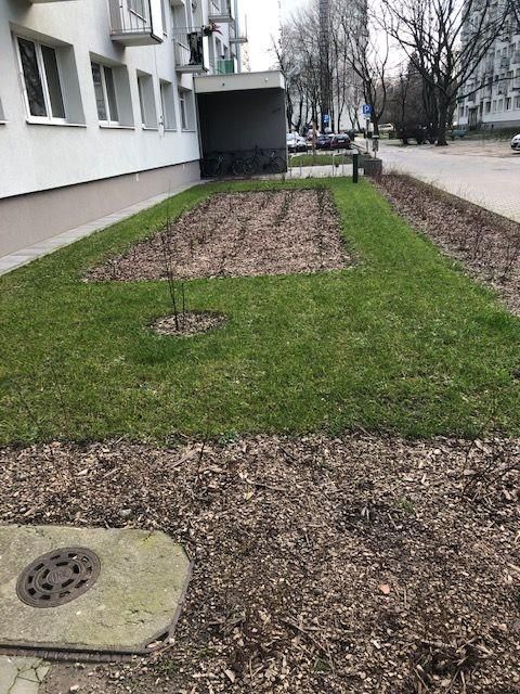 Mieszkanie 2-pokojowe Warszawa Wierzbno, ul. Bielawska. Zdjęcie 12