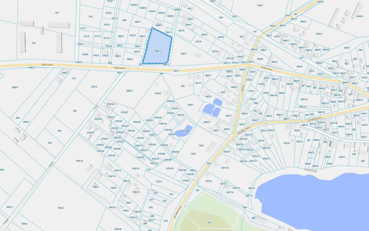 Działka budowlana Powidz. Zdjęcie 3