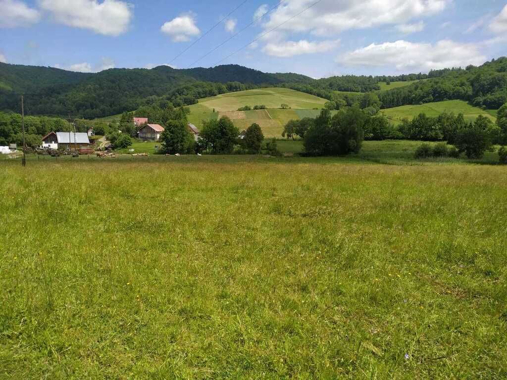 Działka budowlana Terka. Zdjęcie 6