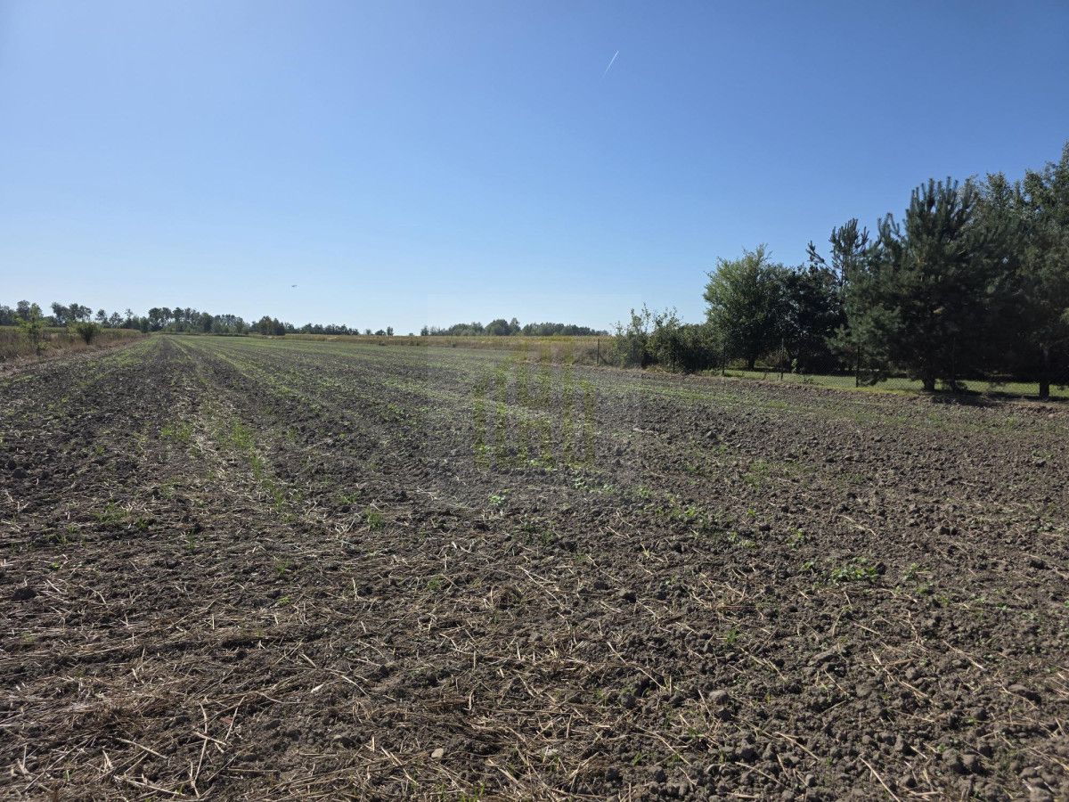 Działka budowlana Nowe Faszczyce. Zdjęcie 13