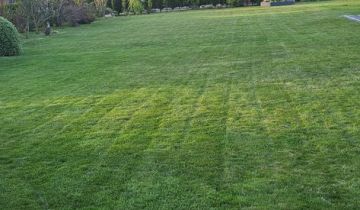 dom wolnostojący, 3 pokoje Skrzydlice