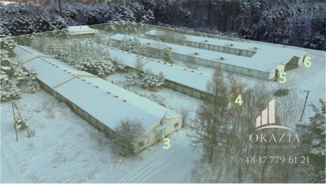 Działka inwestycyjna Wysoka Głogowska. Zdjęcie 5