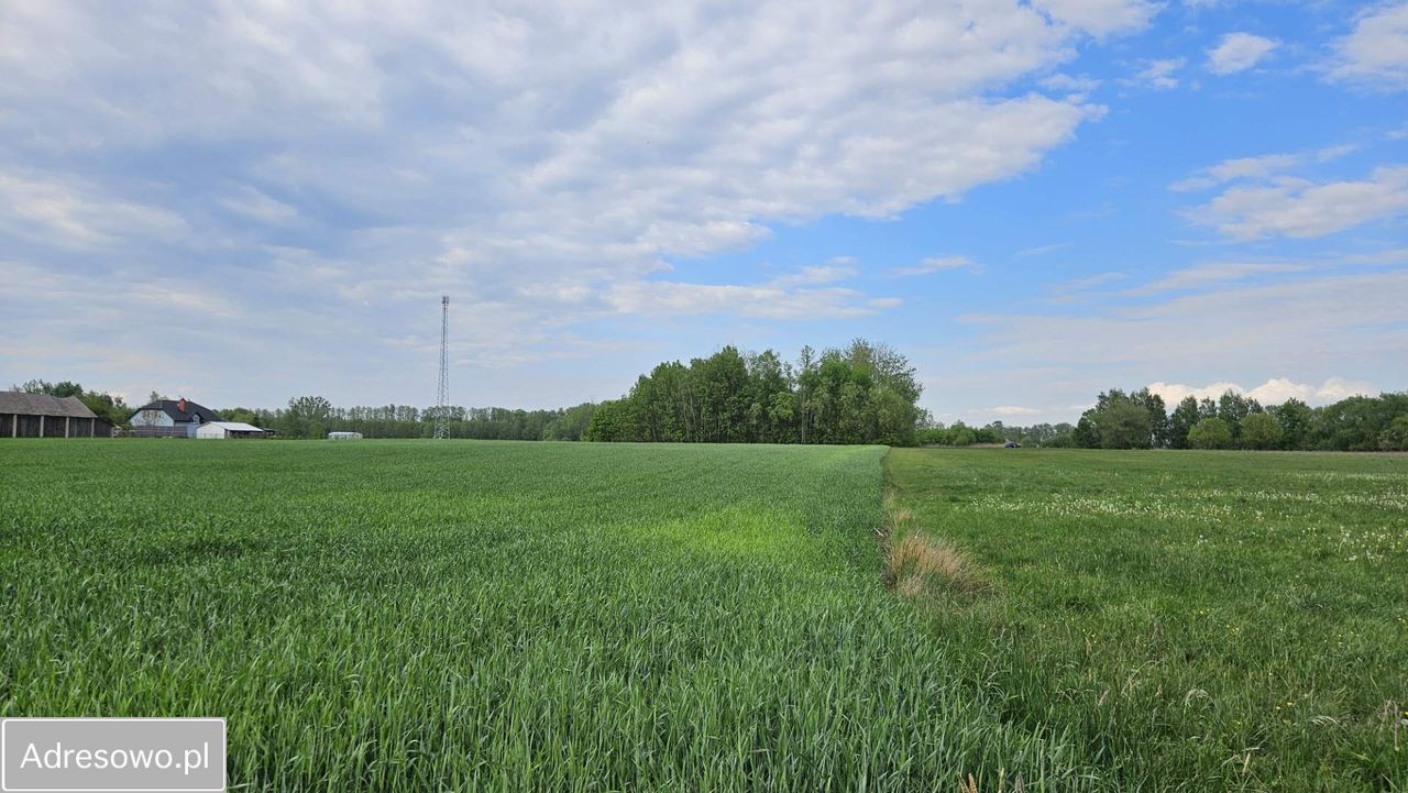 Działka rolno-budowlana Łubin Kościelny. Zdjęcie 7