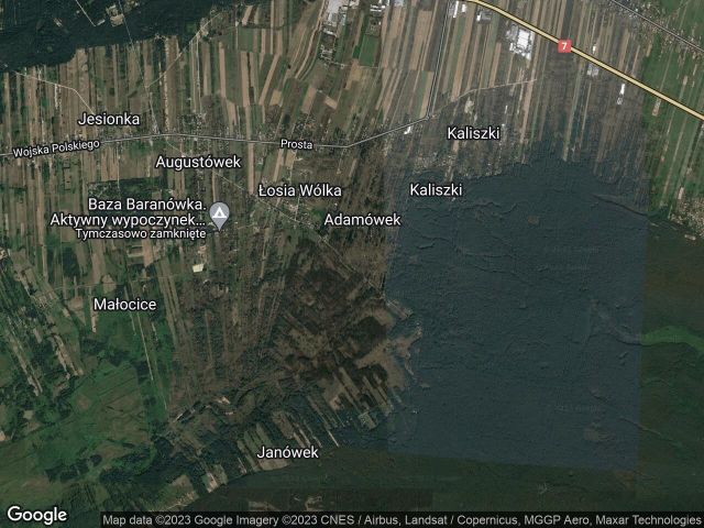 Działka leśna Adamówek, ul. Pańska. Zdjęcie 1