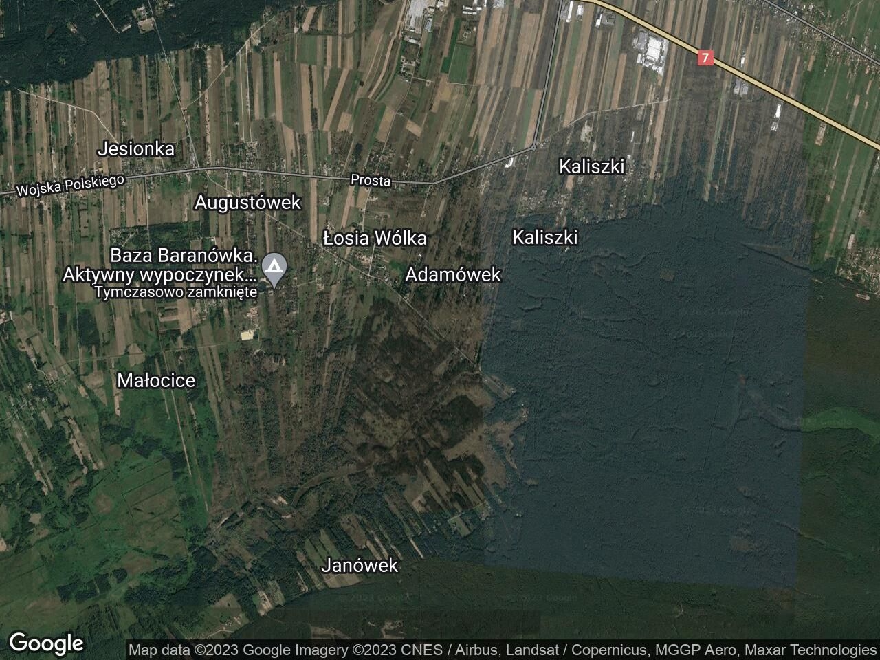 Działka leśna Adamówek, ul. Pańska