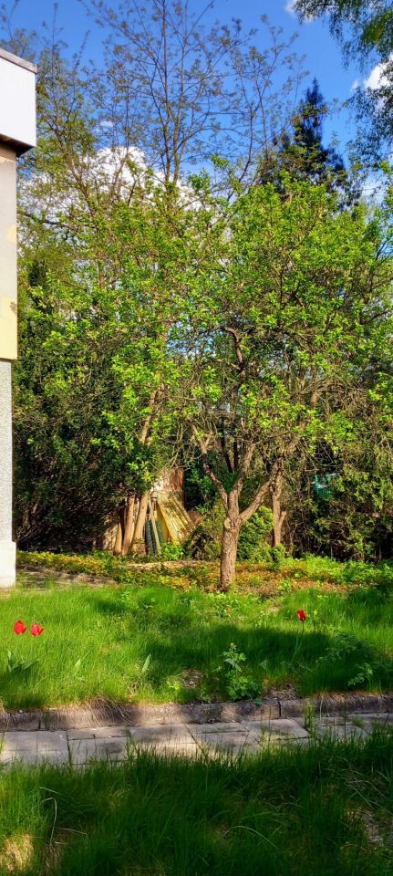 dom wolnostojący, 5 pokoi Otwock Świder, ul. Pogodna. Zdjęcie 24