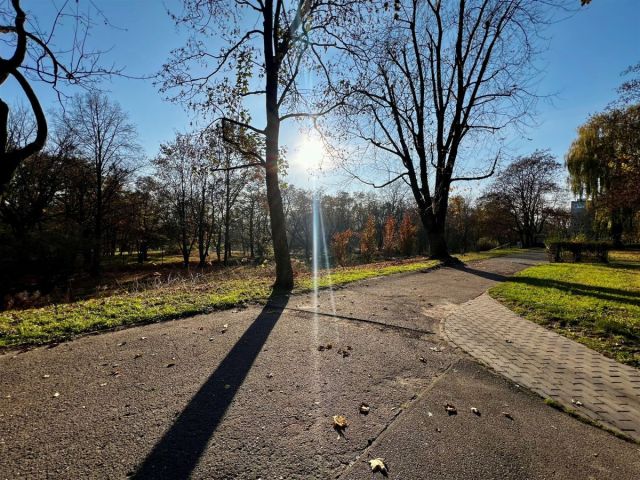 Mieszkanie 2-pokojowe Łódź Widzew, ul. Zbiorcza. Zdjęcie 9