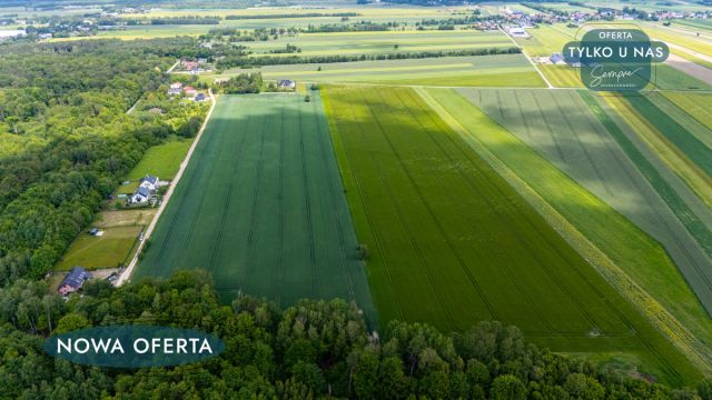 Działka budowlana Ksawerów. Zdjęcie 7
