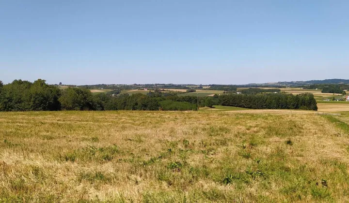 Działka budowlana Szalowa