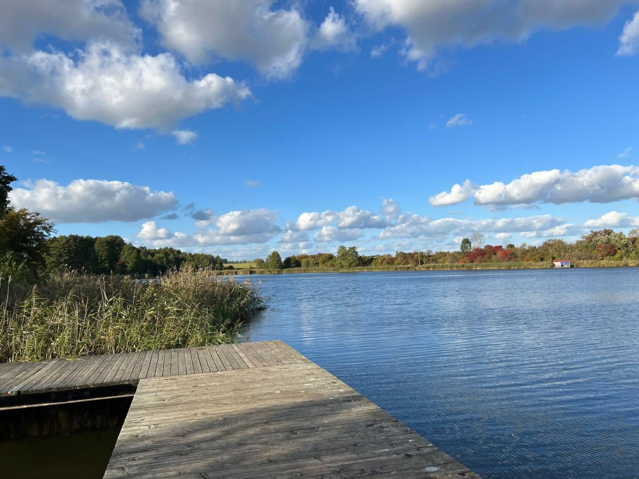 Działka budowlana Górzna. Zdjęcie 1
