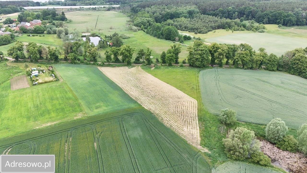 Działka rolno-budowlana Głazów. Zdjęcie 7