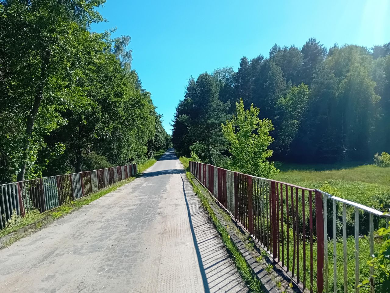 Działka leśna Jabłonowiec. Zdjęcie 2