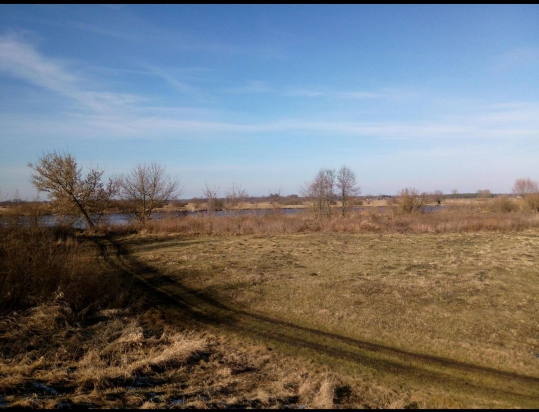 Działka rolna Brzuza. Zdjęcie 2