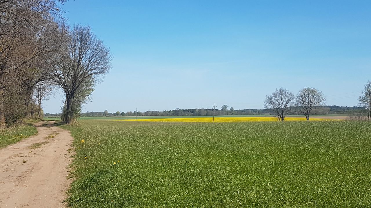 Działka rolna Dargikowo. Zdjęcie 7