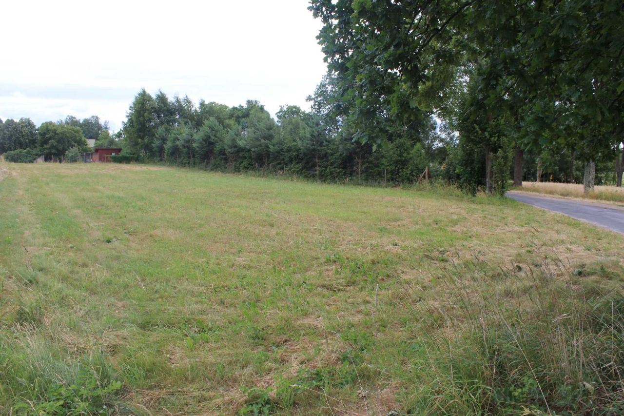 Działka budowlana Osiek. Zdjęcie 6