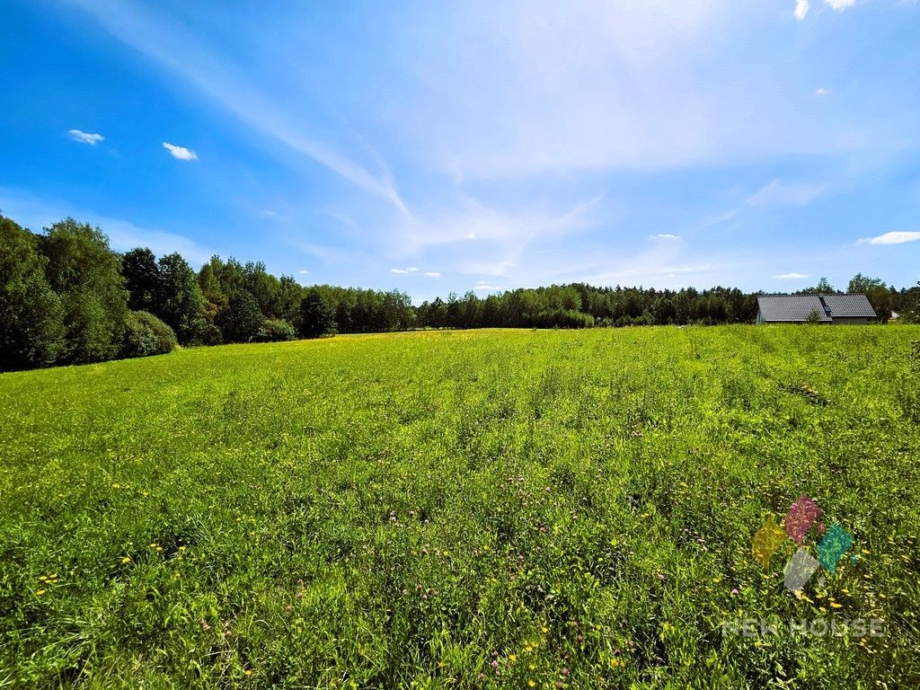 Działka budowlana Patryki. Zdjęcie 5