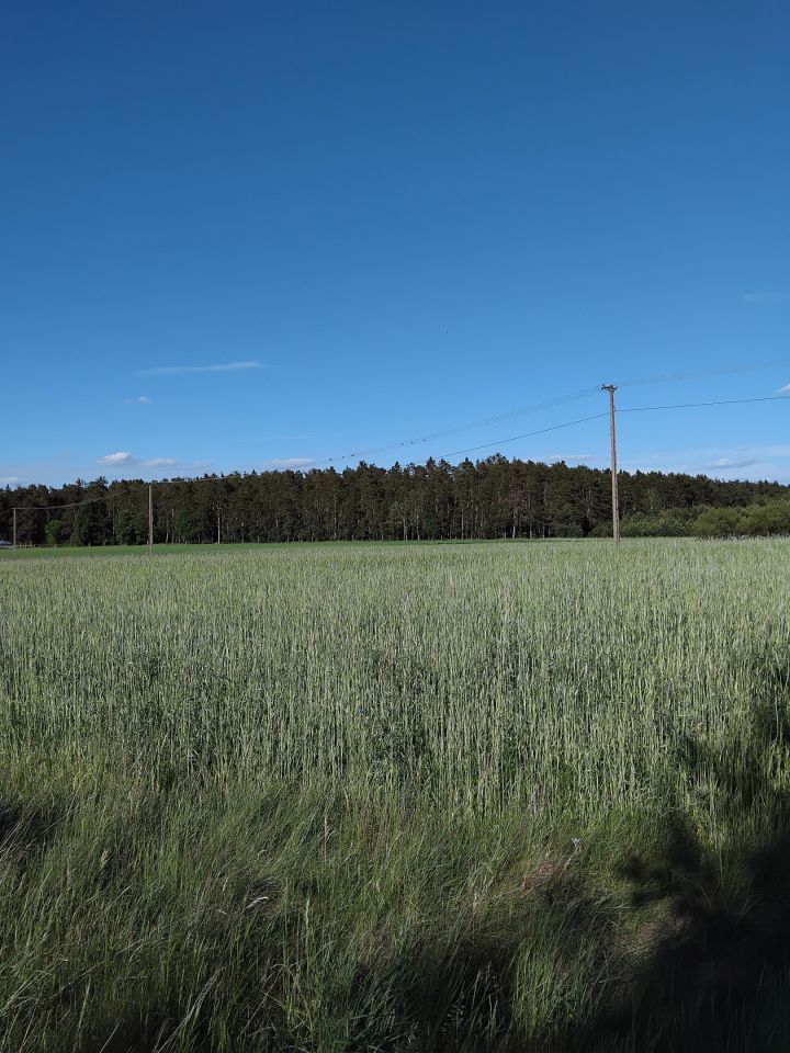 dom wolnostojący, 2 pokoje Albertów. Zdjęcie 8