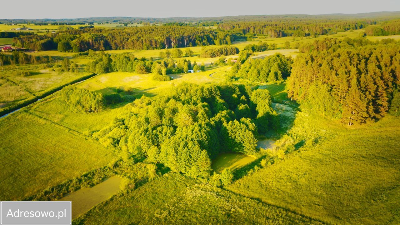 Działka rolno-budowlana Zaborowo. Zdjęcie 11