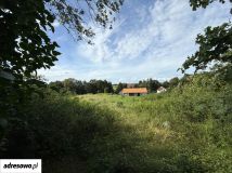 gospodarstwo, 3 pokoje Wyłudy. Zdjęcie 2