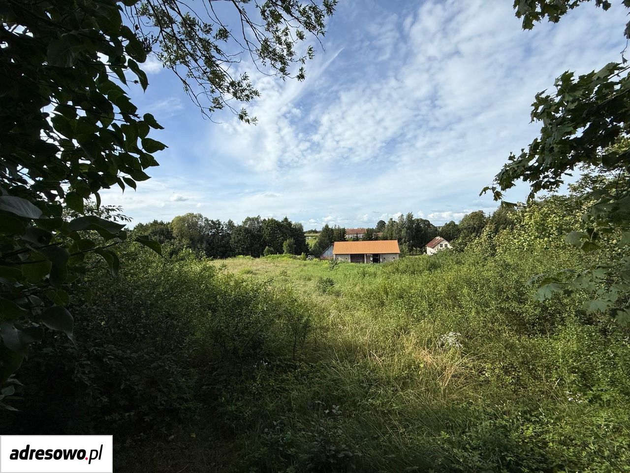 gospodarstwo, 3 pokoje Wyłudy. Zdjęcie 3