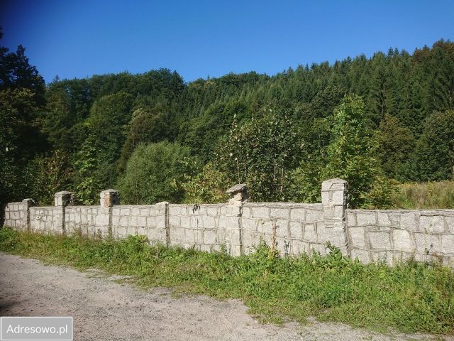 Działka rolno-budowlana Rzeczka. Zdjęcie 1