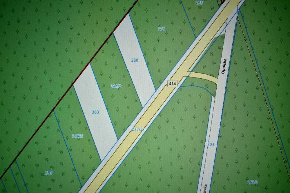 Działka leśna Smolarnia. Zdjęcie 2