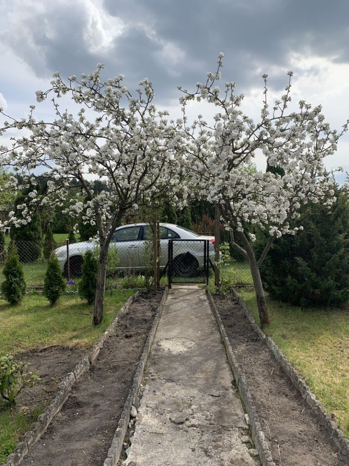 Działka rod Opole. Zdjęcie 8