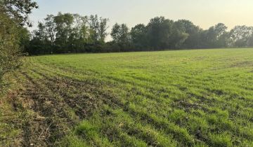 Działka rolno-budowlana Wojciechowo