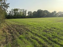 Działka rolno-budowlana Wojciechowo