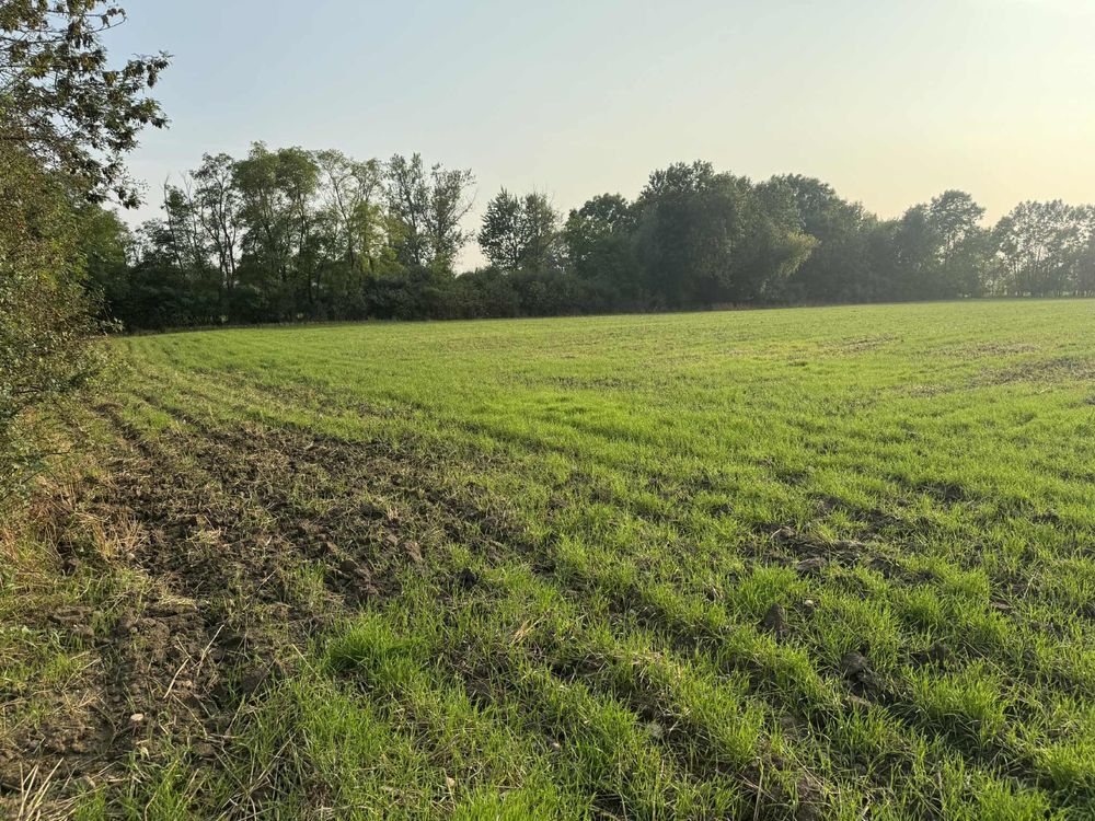 Działka rolno-budowlana Wojciechowo